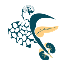Logo Dr Lahmamssi Fatima Zahra